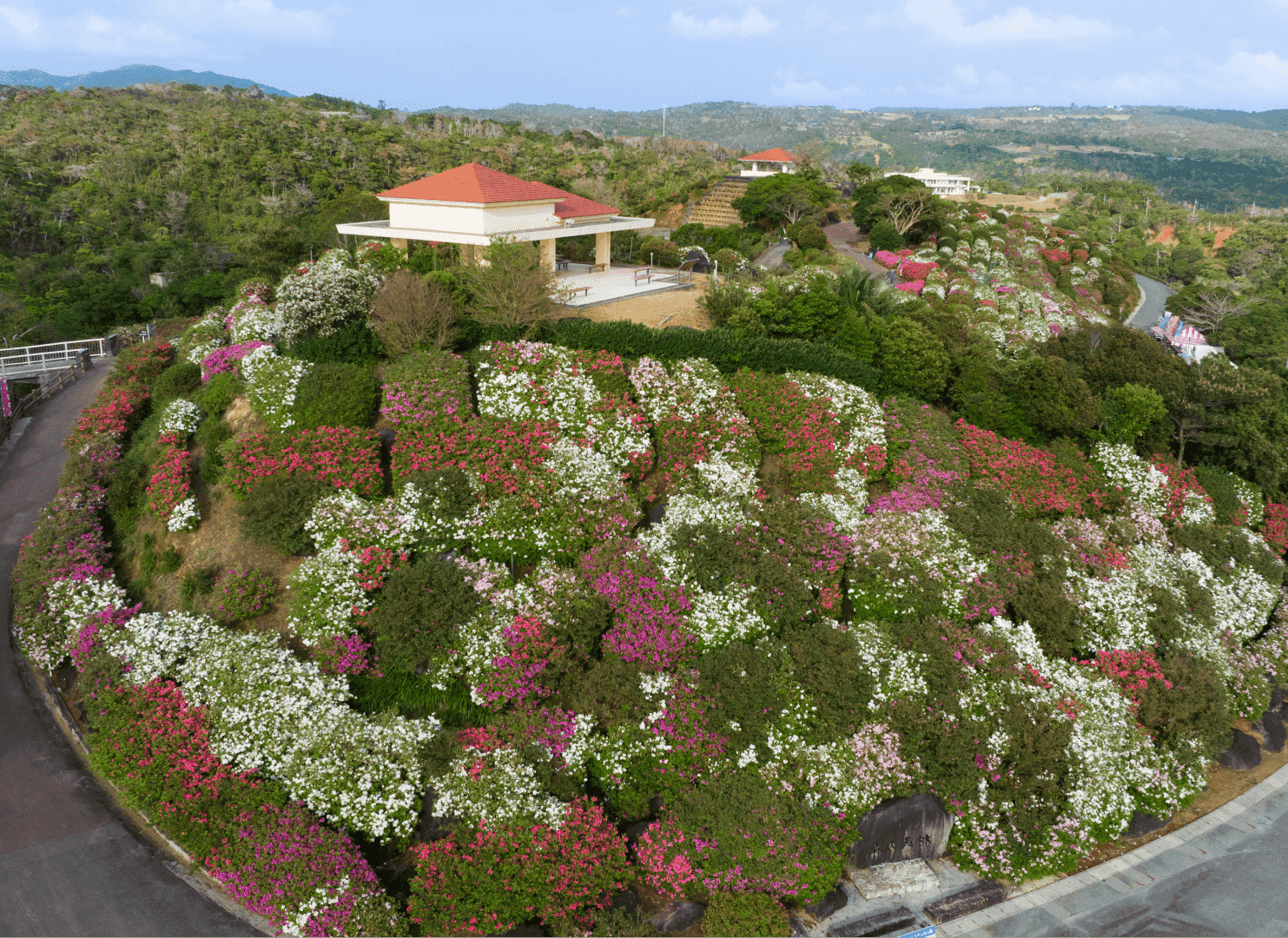 満開のつつじ園